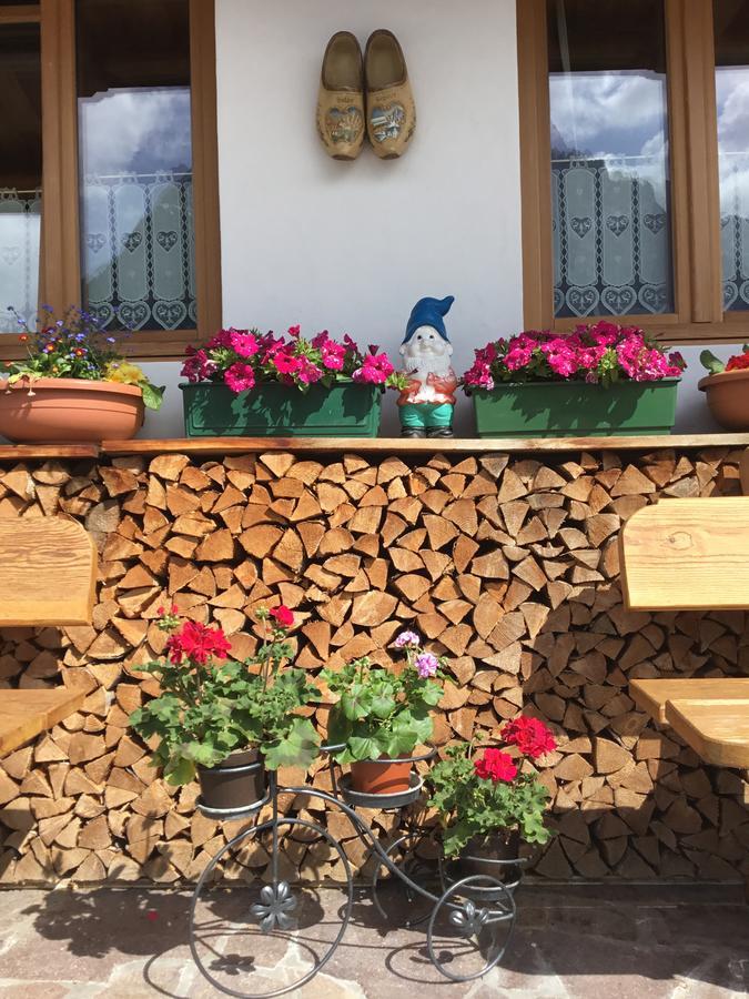 B&B Solder Chalet Dolomiti Sappada Eksteriør billede
